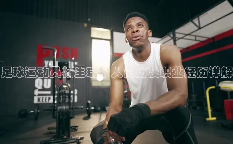 恒盛平台登录颐驰 06足球运动员杨生瑞个人简历及职业经历详解