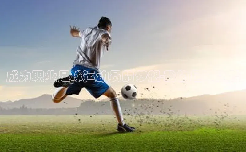 恒盛平台登录入口网站知乎成为职业足球运动员的梦想-我的足球之路