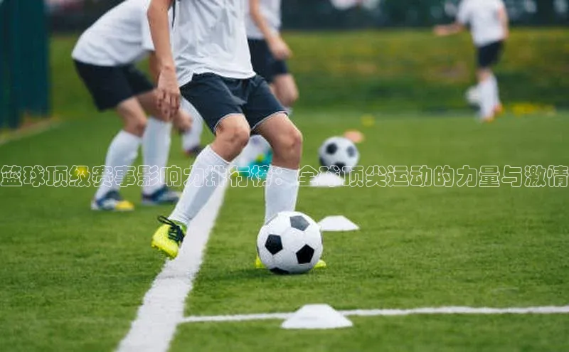 篮球顶级赛事影响力排行榜：全球顶尖运动的力量与激情