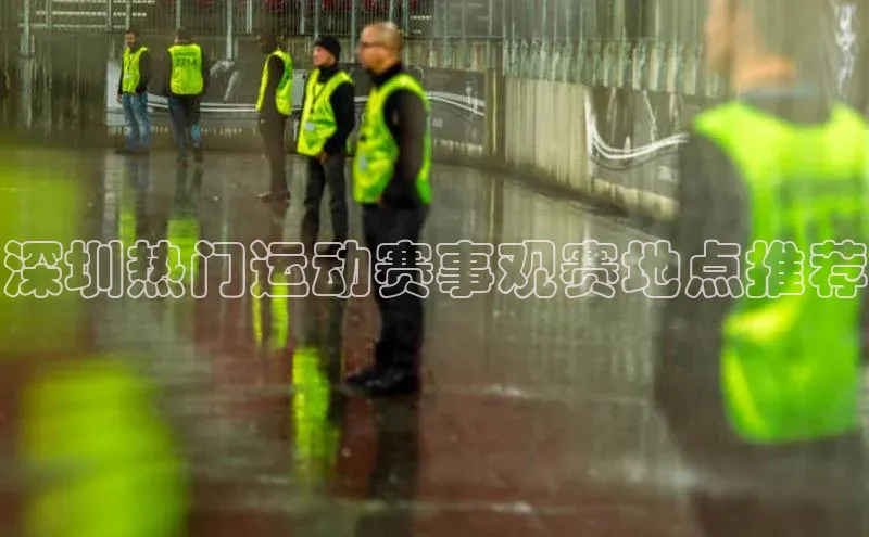 深圳热门运动赛事观赛地点推荐