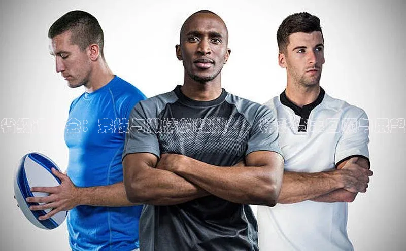 省级运动会：竞技与激情的绽放——精彩赛事回顾与展望