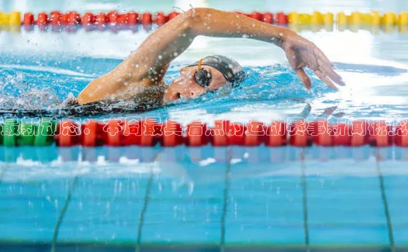 最新动态：本周最具看点的运动赛事新闻概览