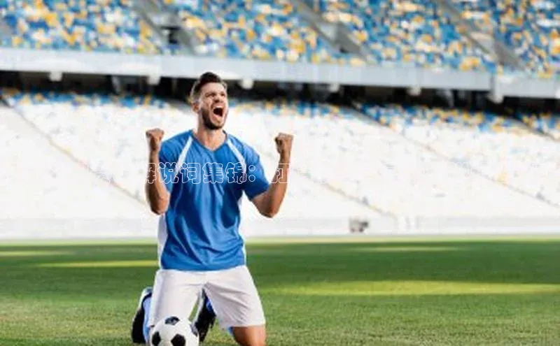 运动休闲赛事解说词集锦：打造视觉盛宴的解说语言艺术