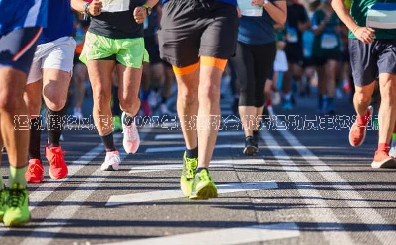 运动健将风采：2023年度运动会优秀运动员事迹汇编