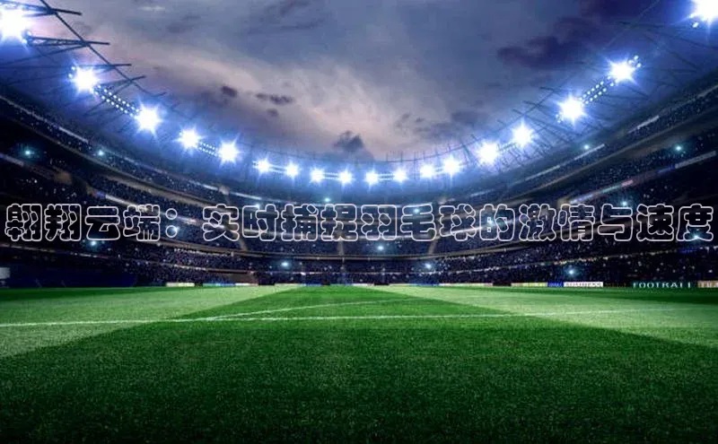 翱翔云端：实时捕捉羽毛球的激情与速度