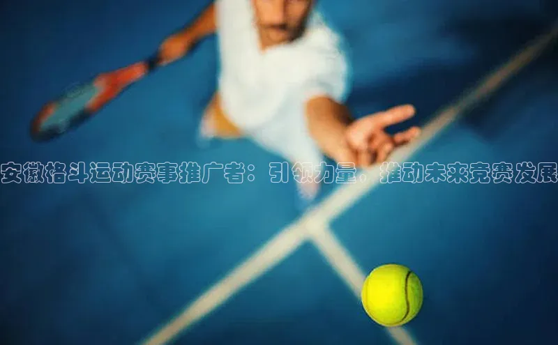 安徽格斗运动赛事推广者：引领力量，推动未来竞赛发展
