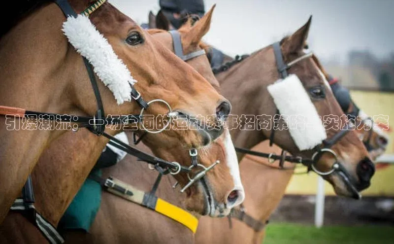 引爆潮流：一场全面的运动赛事招商策略与实施方案