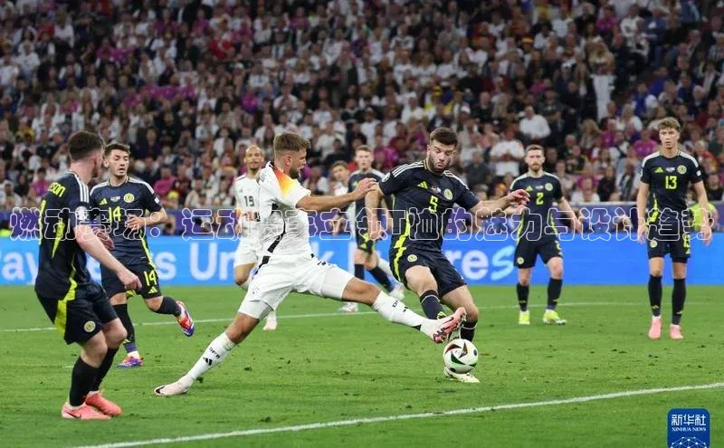 恒盛平台登录入口网站