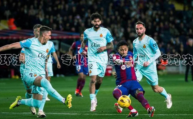 环法大赛：专业运动装备的巅峰对决